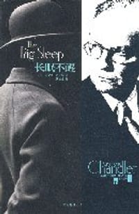 书籍 长眠不醒的封面