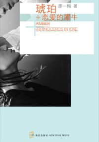 书籍 琥珀·恋爱的犀牛的封面