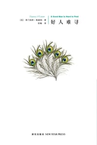 书籍 好人难寻的封面