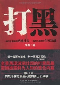 书籍 打黑的封面