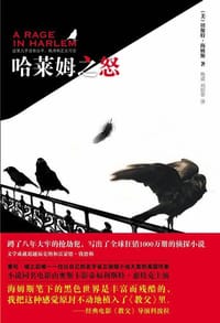 哈莱姆之怒 - [美] 切斯特·海姆斯