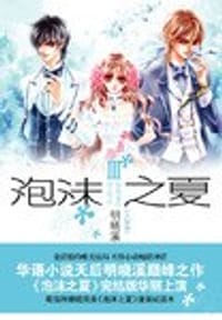 书籍 泡沫之夏Ⅲ的封面