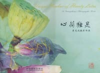 心荷独灵