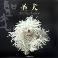 圣犬 - 蒂姆·弗拉克