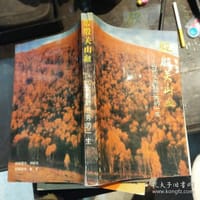 书籍 殷殷关山血的封面