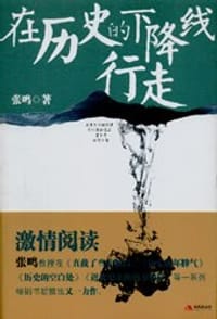 书籍 在历史的下降线行走的封面