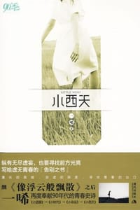 书籍 小西天的封面