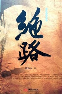 书籍 绝路的封面