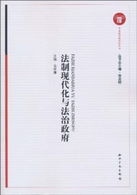 法制现代化与法治政府