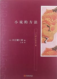 书籍 小说的方法的封面