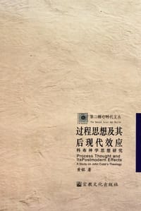 书籍 过程思想及其后现代效应的封面