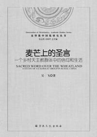 书籍 麦芒上的圣言的封面