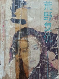 荒野复仇