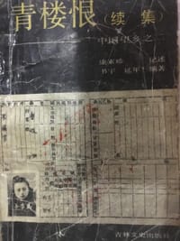 青楼恨续集