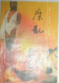 书籍 糜乱的封面