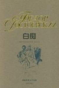 书籍 白痴的封面