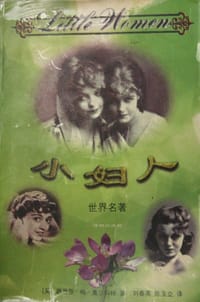 书籍 小妇人的封面