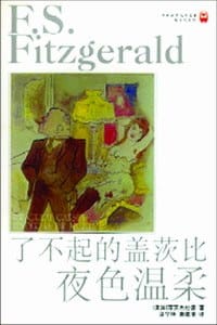 书籍 了不起的盖茨比 夜色温柔的封面