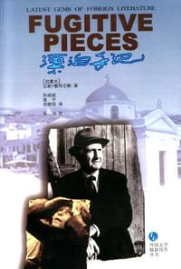 书籍 漂泊手记的封面