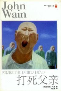 书籍 打死父亲的封面