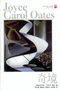 书籍 奇境的封面