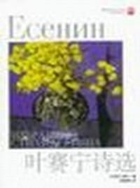 书籍 叶赛宁诗选的封面