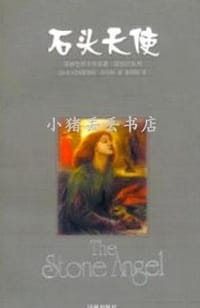 书籍 石头天使的封面