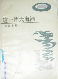 书籍 这一片大海滩的封面