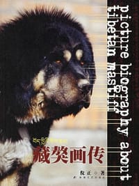 藏獒画传 - 倪正