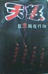 书籍 天怒的封面