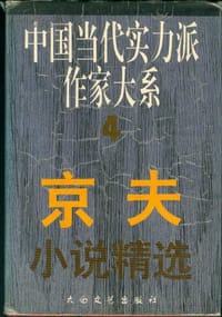 京夫小说精选
