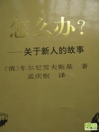 书籍 怎么办？的封面