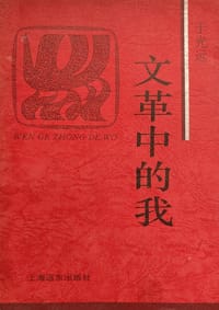 书籍 文革中的我的封面