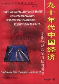 九十年代中国经济--兼论经济总量与结构调整