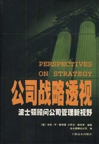 公司战略透视 - 卡尔·W·斯特恩