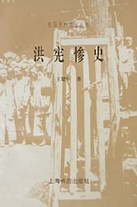 书籍 洪宪惨史的封面