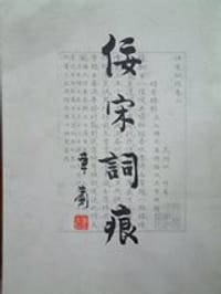 佞宋词痕