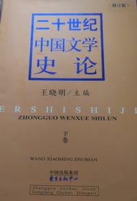 二十世纪中国文学史论·下卷