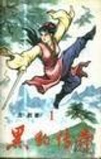 书籍 黑豹传奇的封面