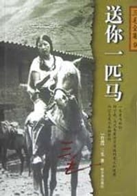 书籍 送你一匹马的封面