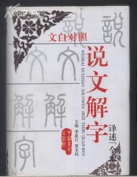 书籍 说文解字译述的封面