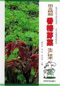 图文精解香椿芽菜生产技术