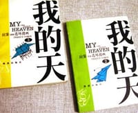 书籍 我的天的封面