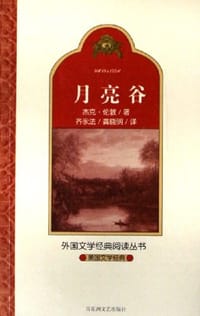 书籍 月亮谷的封面