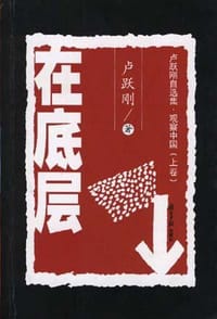 书籍 卢跃刚自选集・观察中国的封面