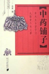 书籍 中药铺子的封面