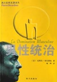 书籍 男性统治的封面