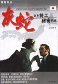 书籍 灰蛇的封面