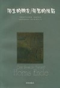 书籍 陌生的朋友 荷恩的结局的封面