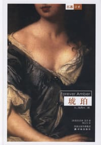 书籍 琥珀的封面